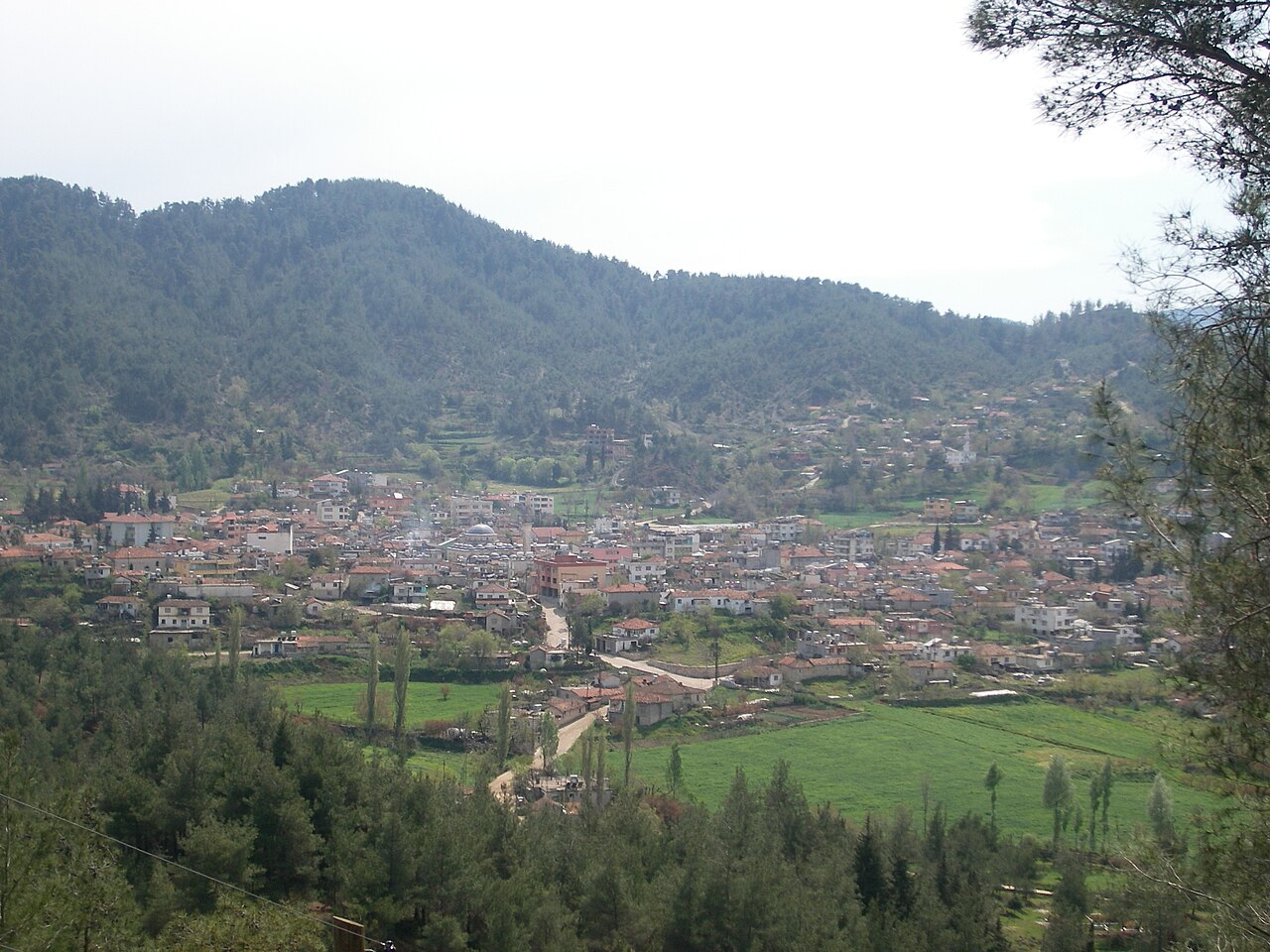 Yayladağı Evden Eve Nakliyat